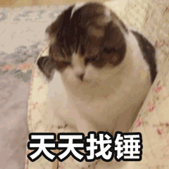 示例图片